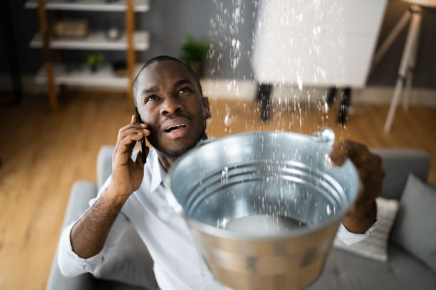 Best 24-hour water damage restoration  in Pahala, HI