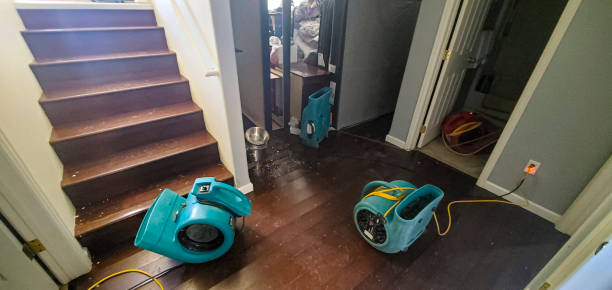 Best Professional water damage repair  in Pahala, HI