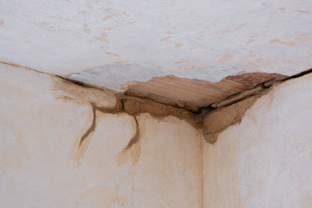 Best Water damage restoration insurance claims  in Pahala, HI