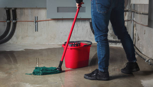 Best 24-hour water damage restoration  in Pahala, HI