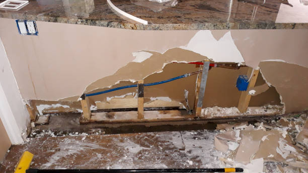Best Water damage restoration near me  in Pahala, HI