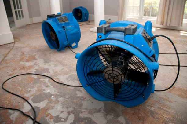  Pahala, HI Water damage restoration Pros