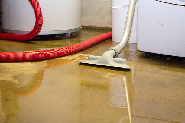 Best 24/7 water damage repair  in Pahala, HI