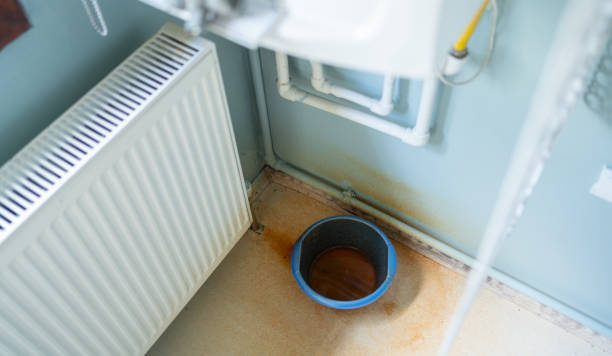 Best Fire Damage Restoration  in Pahala, HI