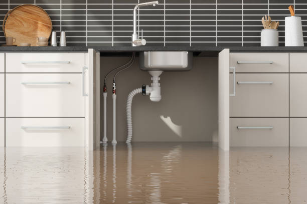 Best Water damage cleanup near me  in Pahala, HI