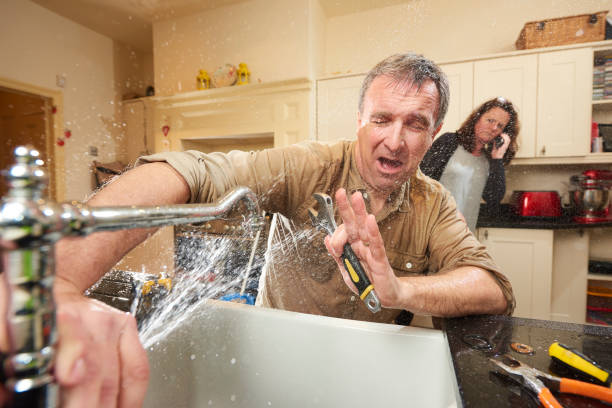 Best Mold removal after water damage  in Pahala, HI